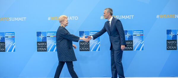 Даля Грибаускайте и Йенс Столтенберг - Sputnik Литва