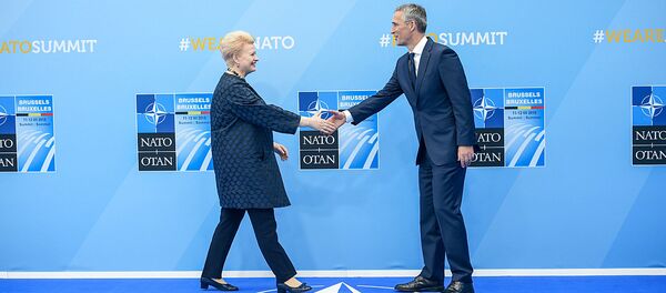 Президент Литвы Даля Грибаускайте и Генеральный секретарь НАТО Йенс Столтенберг - Sputnik Литва