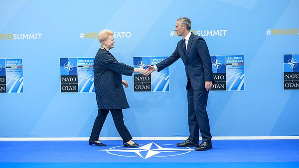 Президент Литвы Даля Грибаускайте и Генеральный секретарь НАТО Йенс Столтенберг - Sputnik Литва