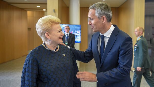 Президент Литвы Даля Грибаускайте и Генеральный секретарь НАТО Йенс Столтенберг - Sputnik Lietuva
