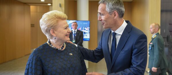 Президент Литвы Даля Грибаускайте и Генеральный секретарь НАТО Йенс Столтенберг, архивное фото - Sputnik Литва