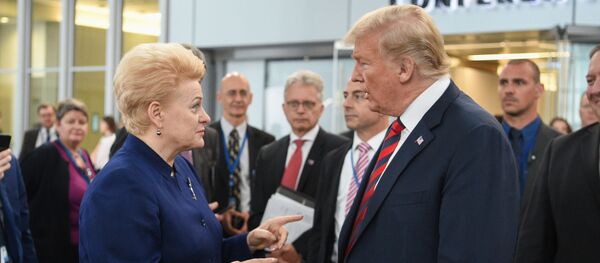 Даля Грибаускайте и Дональд Трамп на саммите НАТО в Брюсселе - Sputnik Литва