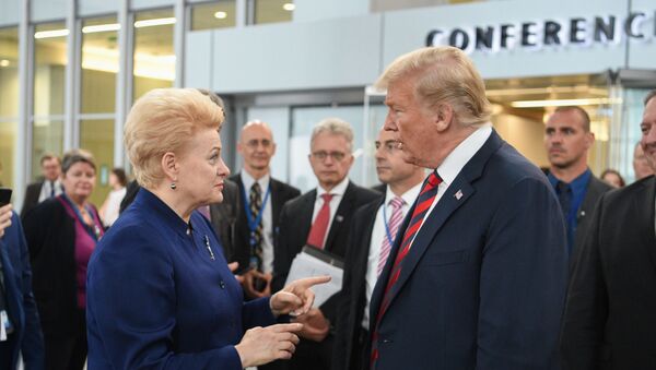 Даля Грибаускайте и Дональд Трамп на саммите НАТО в Брюсселе - Sputnik Литва