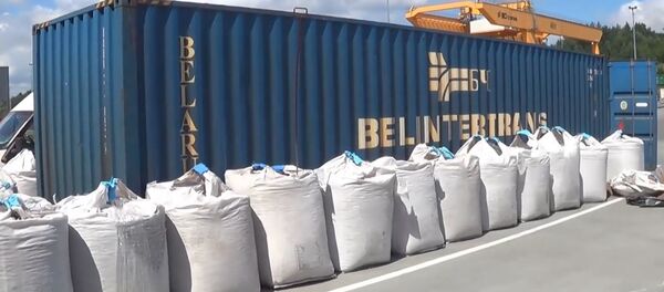 В контейнерах с керамзитом из Беларуси нашли контрабанду сигарет В контейнерах с керамзитом из Беларуси нашли контрабанду сигарет - Sputnik Lietuva