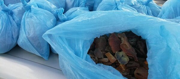 Aptiktas gintaras - Sputnik Lietuva