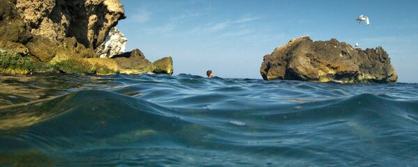  Азовское побережье в Крыму, архивное фото - Sputnik Литва