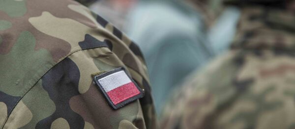 Польские солдаты НАТО - Sputnik Lietuva