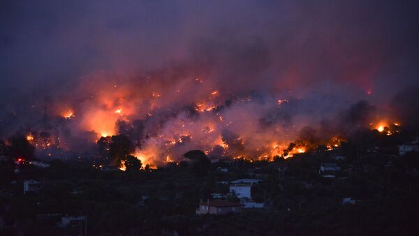 Пожары в пригороде Афин, Греция - Sputnik Литва