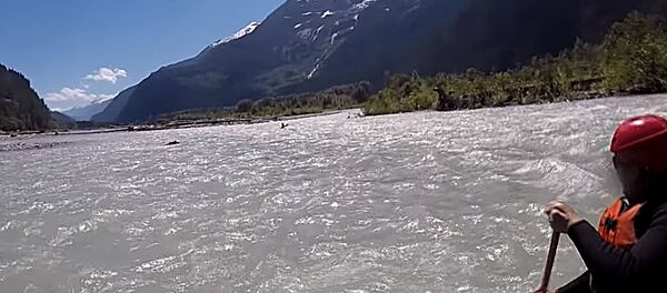 Медведь гризли нападает на лодку - Sputnik Литва