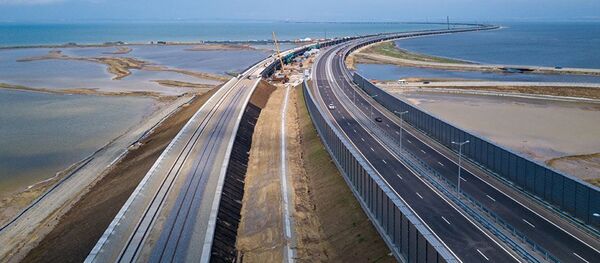 Укладка рельсов на Крымском мосту Укладка рельсов на Крымском мосту - Sputnik Lietuva