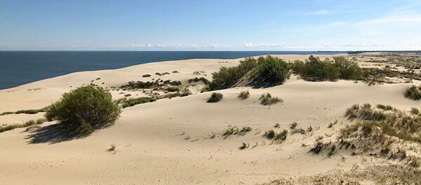 Дюны, Куршская коса - Sputnik Литва