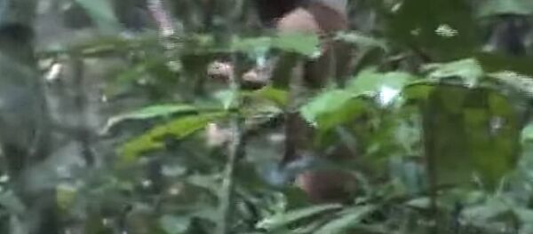 Последний житель неизвестного амазонского племени попал на видео - Sputnik Lietuva