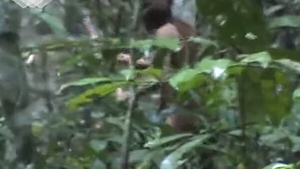 Последний житель неизвестного амазонского племени попал на видео - Sputnik Lietuva