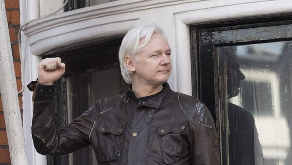 Сооснователь WikiLeaks Джулиан Ассанж на балконе здания посольства Эквадора в Лондоне, архивное фото - Sputnik Литва