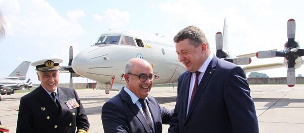 Министры обороны Литвы и Португалии Министры обороны Литвы и Португалии - Sputnik Lietuva