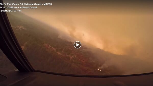 Лесные пожары в Калифорнии с высоты птичьего полета - Sputnik Lietuva
