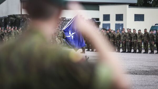 Литовские вооруженные силы под управлением НАТО, архивное фото - Sputnik Литва