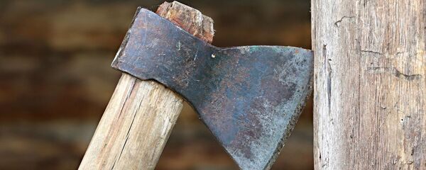 Топор, архивное фото - Sputnik Литва