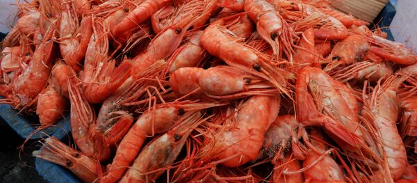 Продажа креветок на продовольственной ярмарке, архивное фото - Sputnik Литва
