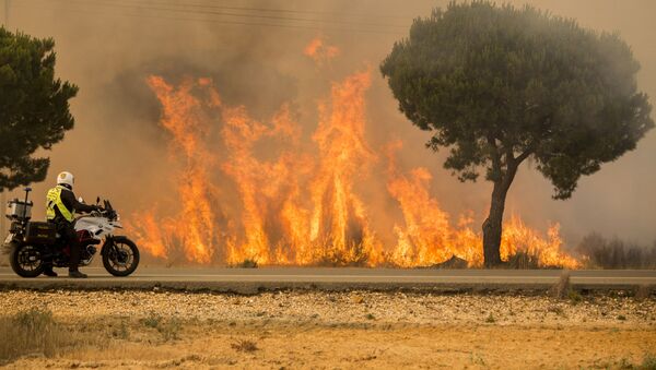 Лесной пожар на юге Испании, архивное фото - Sputnik Lietuva