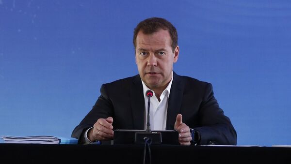 Рабочая поездка премьер-министра РФ Д. Медведева в Камчатский край, архивное фото - Sputnik Литва