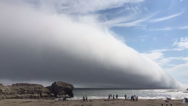 Гигантское белое облако накрыло пляж в Санта-Круз, вызвав панику у отдыхающих  - Sputnik Литва