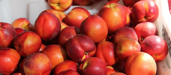 Нектарины - Sputnik Литва