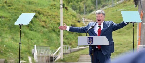 Открытие Бескидского тоннеля на Украине - Sputnik Lietuva