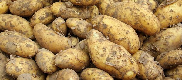 Картофель на прилавке - Sputnik Литва