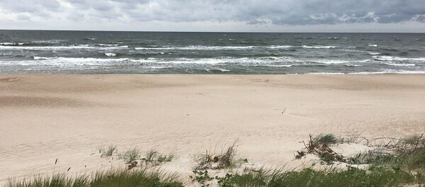 Балтийское море, Паланга - Sputnik Литва