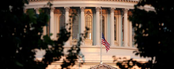 Флаг Америки на фоне Капитолия в Вашингтоне, архивное фото - Sputnik Литва