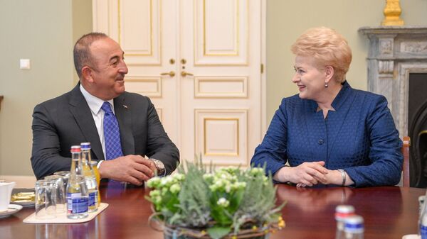 Грибаускайте заявила, что ЕС не может закрывать глаза на проблемы Турции Грибаускайте заявила, что ЕС не может закрывать глаза на проблемы Турции - Sputnik Литва