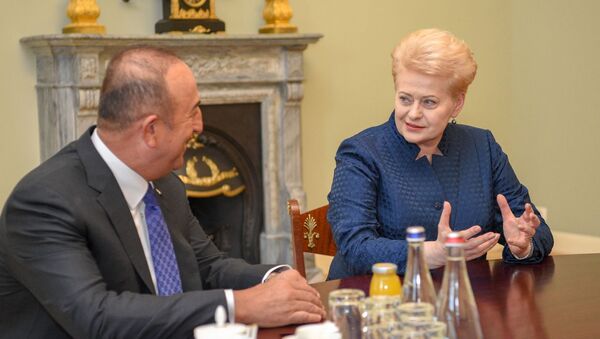 Министр иностранных дел Турции Мевлют Чавушоглу и Даля Грибаускайте - Sputnik Литва
