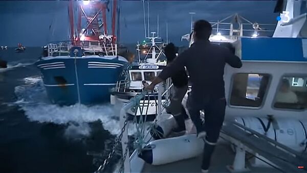 Сражение французских и английских рыбаков из-за гребешков попало на видео - Sputnik Литва