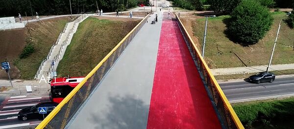 Открытие виадука через улицу Нарбуто в Вильнюсе Открытие виадука через улицу Нарбуто в Вильнюсе - Sputnik Lietuva