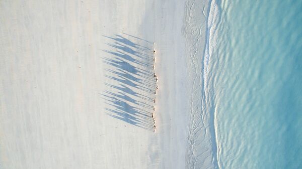 Второе место в категории Путешествие присудили снимку австралийского пляжа Cable Beach (автор - Todd Kennedy) - Sputnik Литва