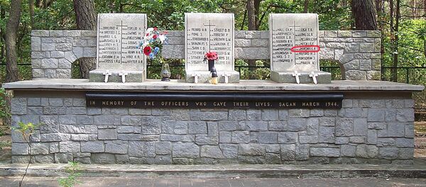 Lenkijoje sušautų karo balaisvių kapas su Romualdo Martinkaus - Britanijos KOP Lietuvos lakūno vardu - Sputnik Lietuva