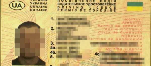 Suklastotas vairuotojo pažymėjimas - Sputnik Lietuva