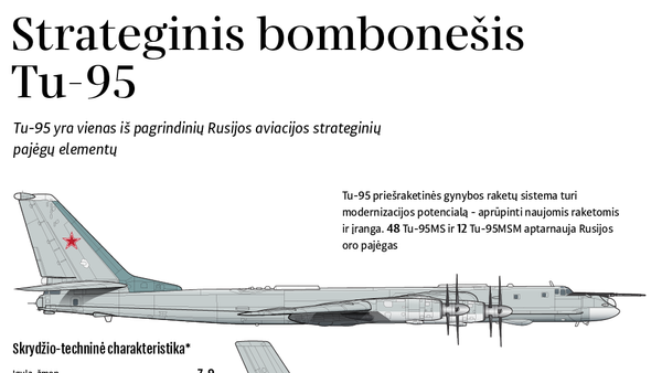 Strateginis bombonešis Tu-95 - Sputnik Lietuva