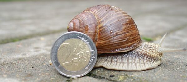 Улитка и монета в 2 евро - Sputnik Литва