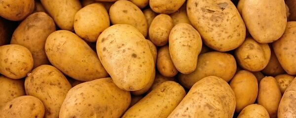 Картофель, архивное фото Картофель, архивное фото - Sputnik Литва