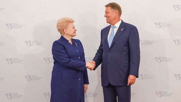 Президент Литвы Даля Грибаускайте на саммите Инициаивы трех морей - Sputnik Литва