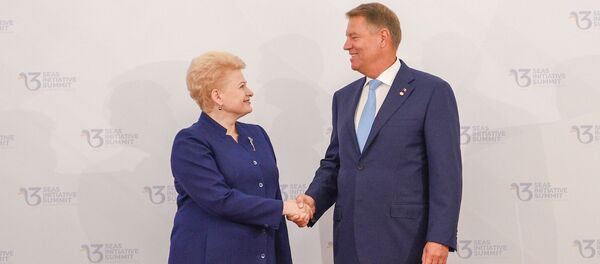 Президент Литвы Даля Грибаускайте на саммите Инициаивы трех морей - Sputnik Литва