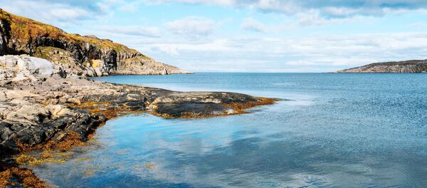 Вид на полуостров Немецкий в Печенгском районе Мурманской области Вид на полуостров Немецкий в Печенгском районе Мурманской области - Sputnik Lietuva