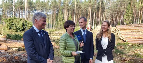 Labanoro giria Labanoro giria - Sputnik Lietuva