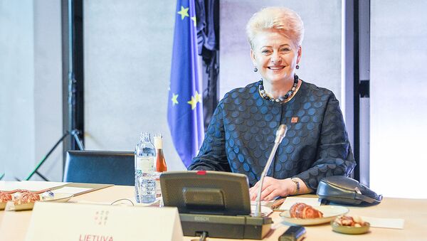 Президент Даля Грибаускайте участвует в неофициальном Европейском совете в Австрии - Sputnik Литва