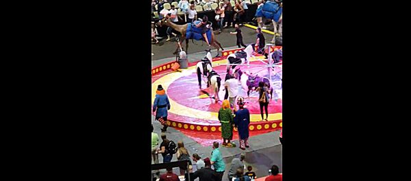 Испуганный верблюд напал на зрителей во время представления в США - Sputnik Lietuva