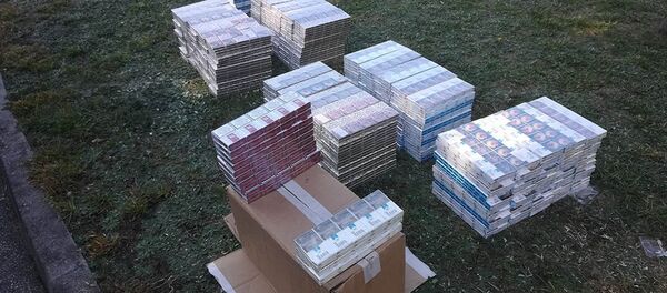 Lazdijų rajone pasieniečiai sulaikė sutuoktinių porą, neteisetai automobiliu gabenusią daugiau nei tris tūkstančius cigarečių pakelių - Sputnik Lietuva