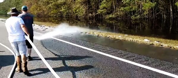 JAV po uragano Florencija gaisrininkams teko surinkti šimtus negyvų žuvų JAV po uragano Florencija gaisrininkams teko surinkti šimtus negyvų žuvų - Sputnik Lietuva