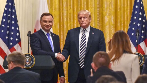 Встреча Президента США Дональда Трампа с Президентом Польши Анджеем Дудой  - Sputnik Литва